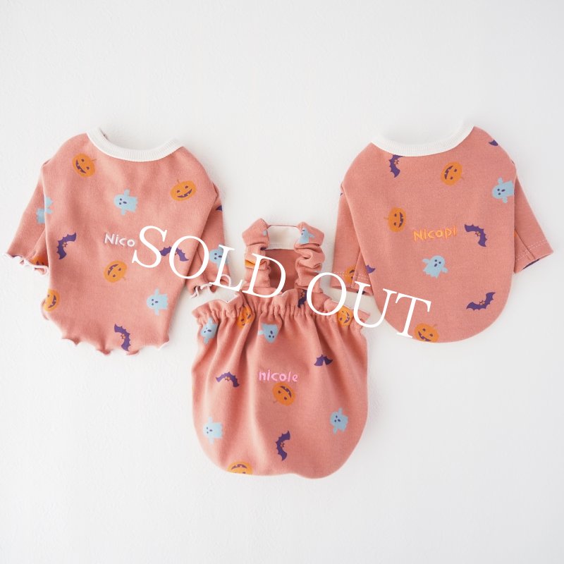 画像11: Happy Halloweenメローカットソー：アンティークオレンジ【名入れ無料】半袖/袖無しへの変更可◎ (11)