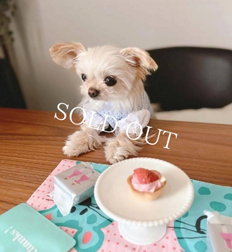 model：こはなちゃん（ @cochan587 ）トゥトゥハグ公式アンバサダー