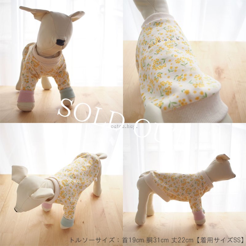 画像6: Marshmallow rib ミモザスウェット【名入れ無料】半袖/袖無しへの変更可◎ (6)